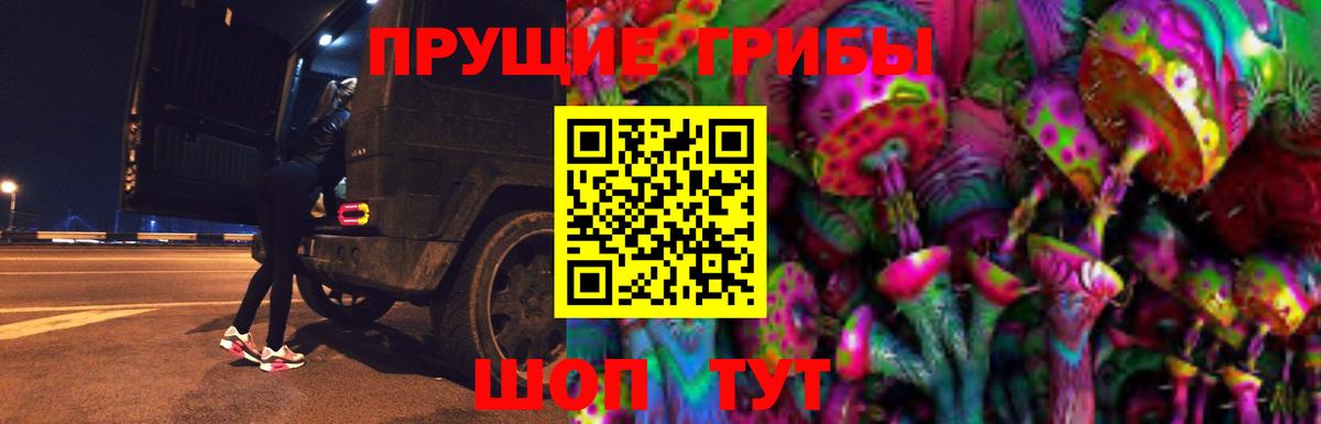 Псилоцибиновые грибы Cubensis Камень-на-Оби